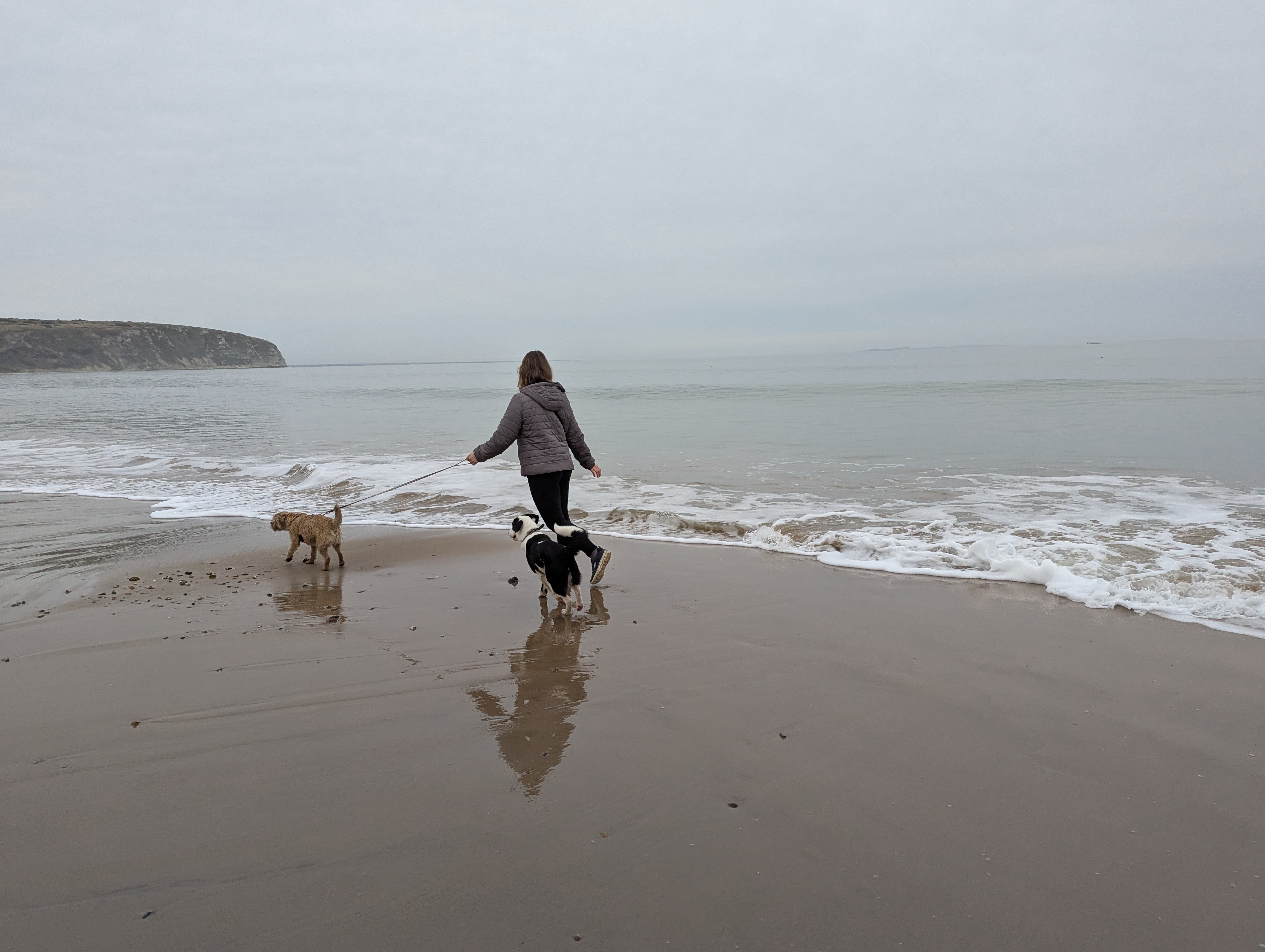 Dog at Lead with Care